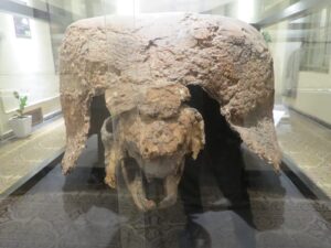 Gliptodonte