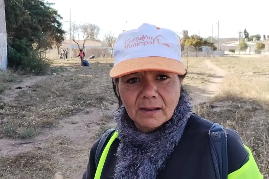 Vivi - Recolectan residuos en amplios sectores - SAN