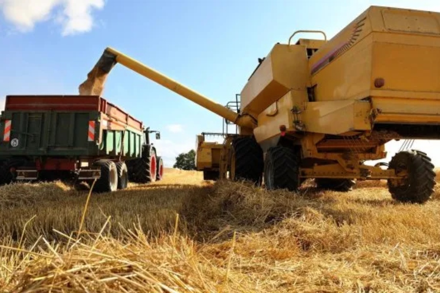 Agro - cosecha de trigo - SAN