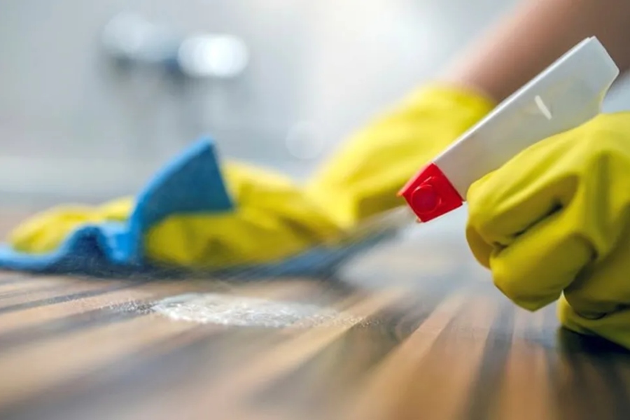 Empleadas domésticas - SAN