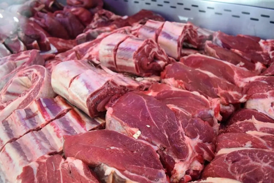 Carne - SAN