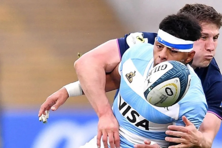 Los Pumas perdieron ante Escocia - SAN